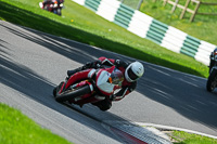 cadwell-no-limits-trackday;cadwell-park;cadwell-park-photographs;cadwell-trackday-photographs;enduro-digital-images;event-digital-images;eventdigitalimages;no-limits-trackdays;peter-wileman-photography;racing-digital-images;trackday-digital-images;trackday-photos